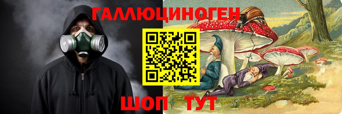 Псилоцибиновые грибы мицелий Краснодар