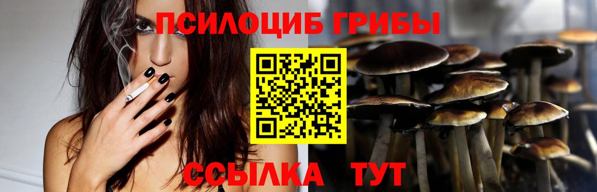 Краснодар  Галлюциногенные грибы ЛСД  Галлюциногенные грибы Cubensis  Вход с VPN 